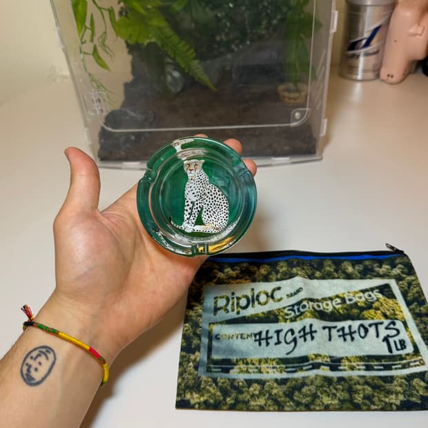 빈티지 레오파드 그래픽 애쉬트레이 재떨이 그린