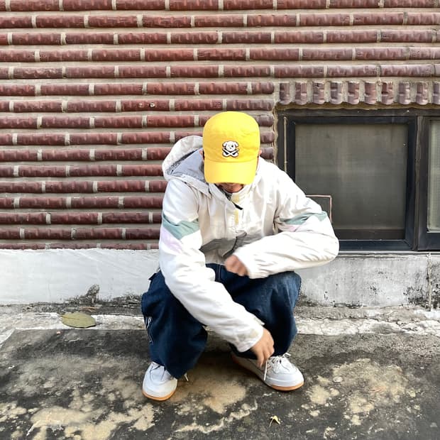 파사디 강아지 옐로우 캡