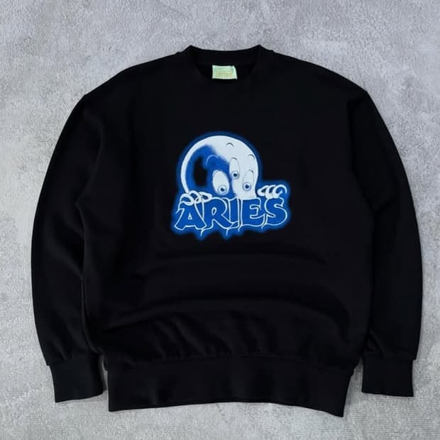 Aries 아리스 캐스퍼 캐릭터 맨투맨 