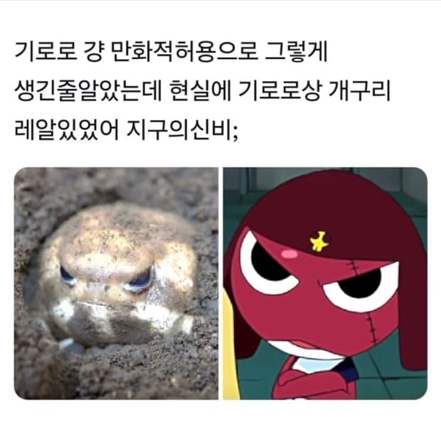 fxxshaixh님 결제창