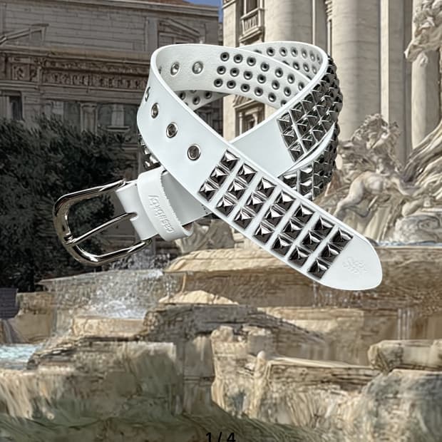 Cashbaby belt