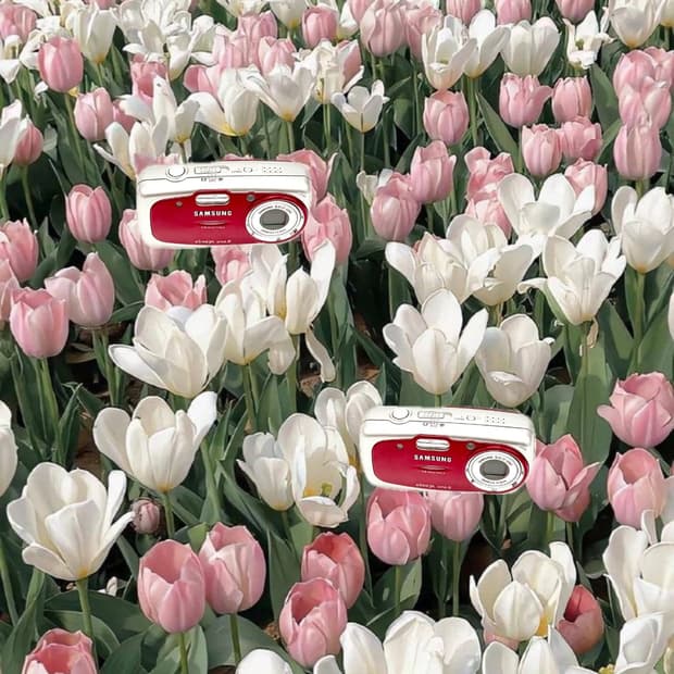 강경민님디카&초희귀!) Samsung KENOX U-CA5 디카 카메라