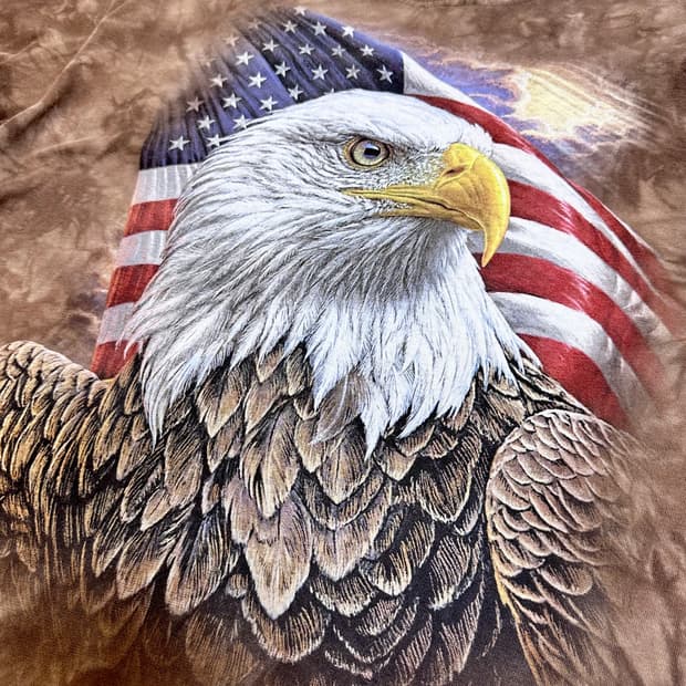 더 마운틴 Independence Eagle Classic