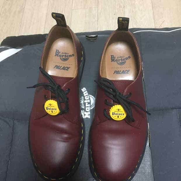 팔라스닥터마틴
