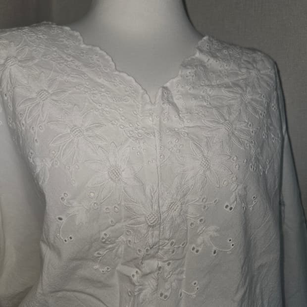 자수 브이넥 블라우스