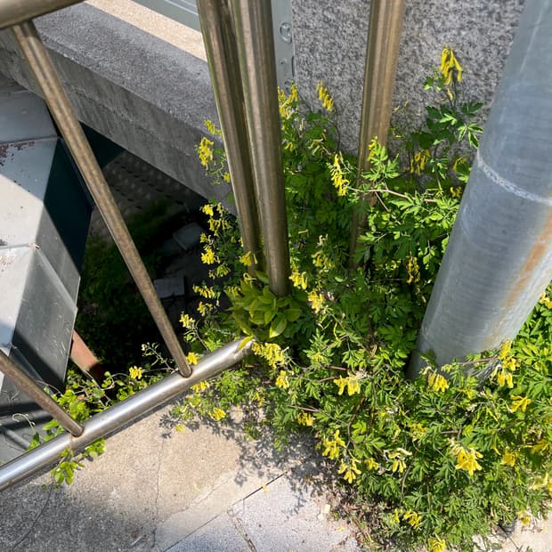 개인결제창 260209