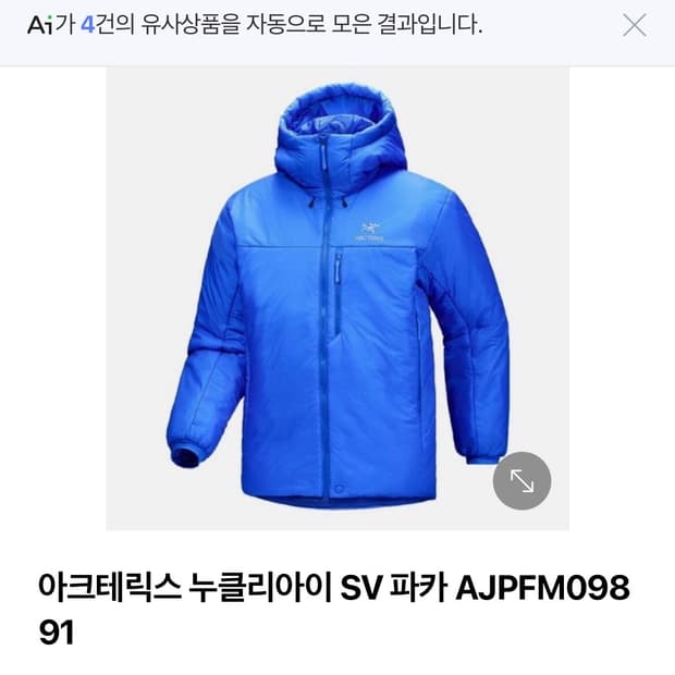 아크테릭스누클리아이SV 블루 라지사이즈