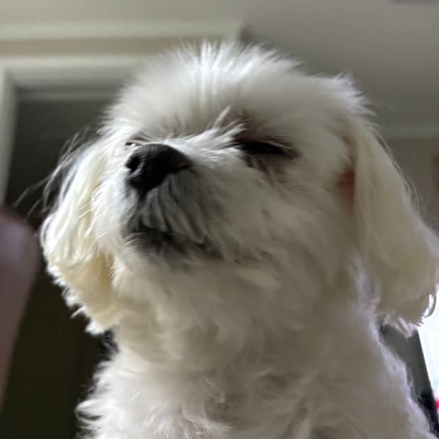 jju5648님 결제창