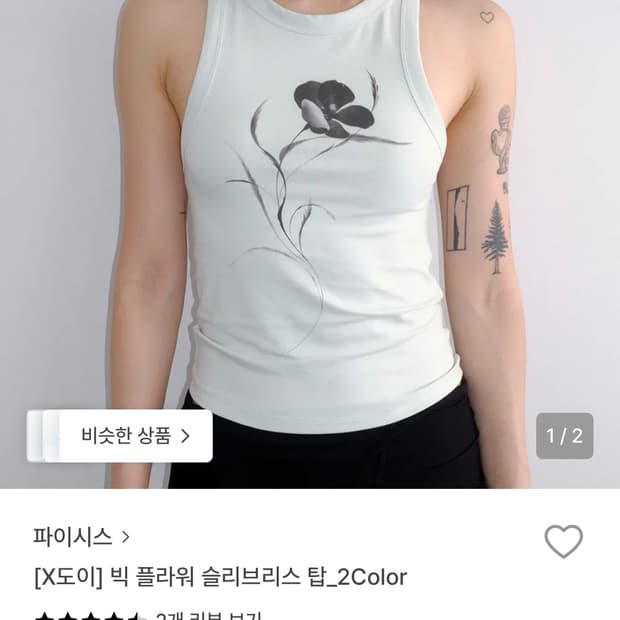 파이시스