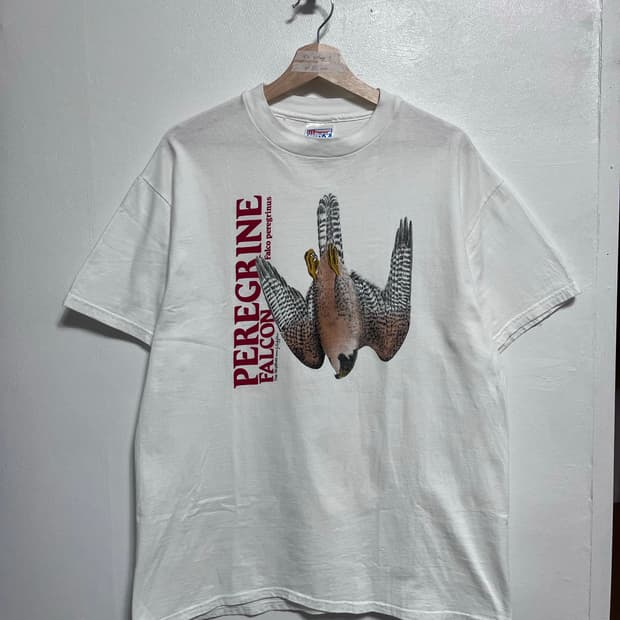 90s vintage hanes falcon t