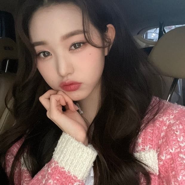 에트몽 트위드 장원영 가디건