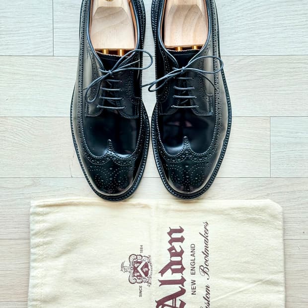 알든 Alden 9751 롱 윙 블러처 US9.5 블랙