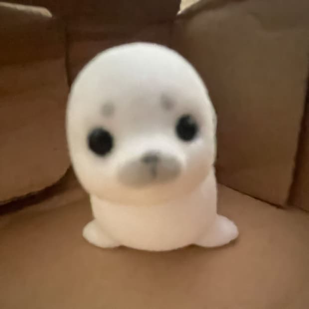 개인 결제창