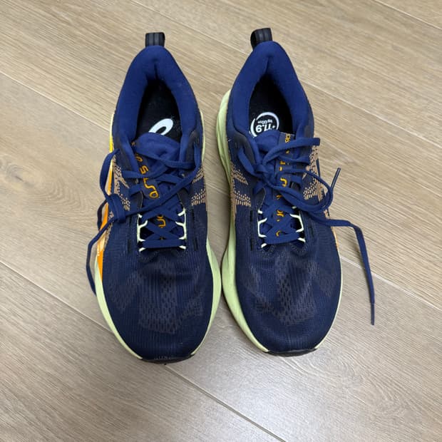 아식스 노바블라스트5 260