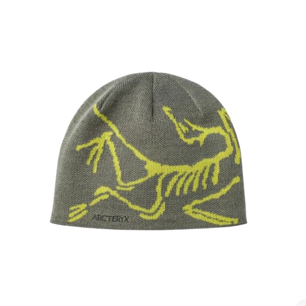 아크테릭스 비니 Bird Head Toque Forage