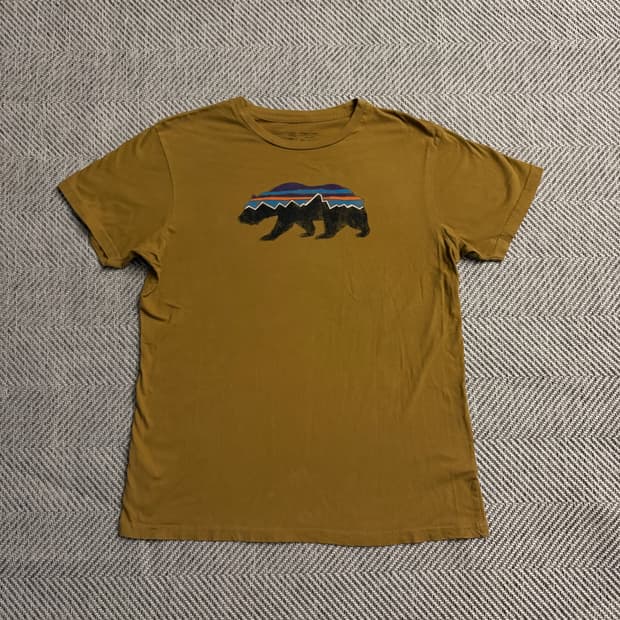 Patagonia T Shirt