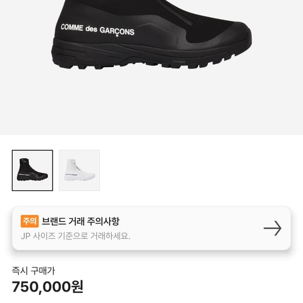살로몬 꼼데가르송 알파인2 280