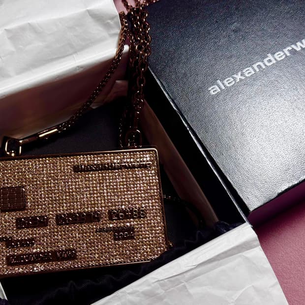 alexanderwang 카드체인미니백