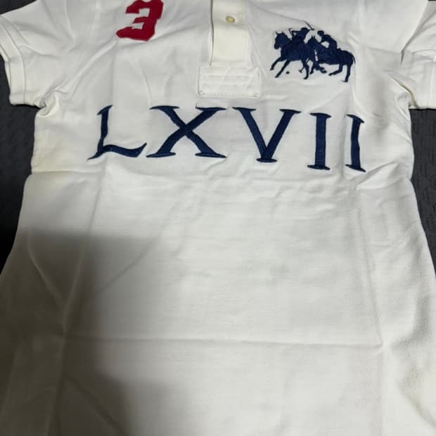 정품 폴로랄프로렌 빅포니 치프키프 화이트 카라 반팔티