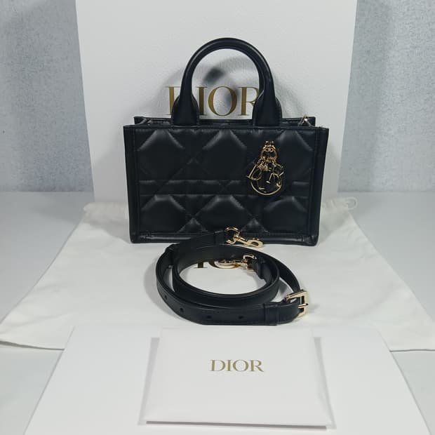 디올 매크로 까나쥬 북토트백 미니 S5573OWHP