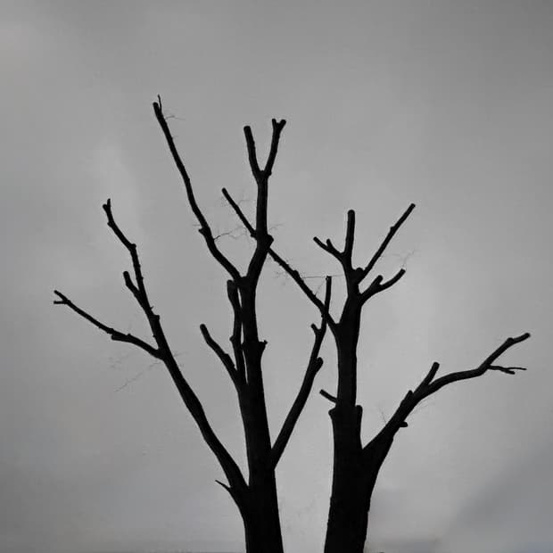 Dochipapa님 결제창