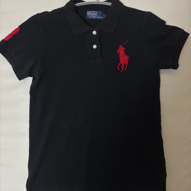 폴로 빅포니 카라