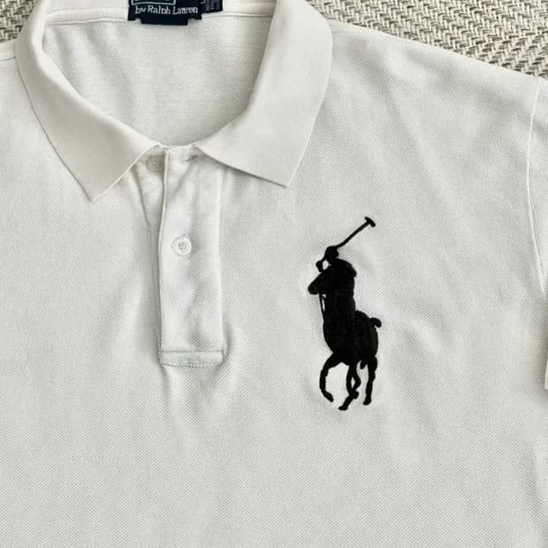 폴로 빅포니 카라 롱슬리브