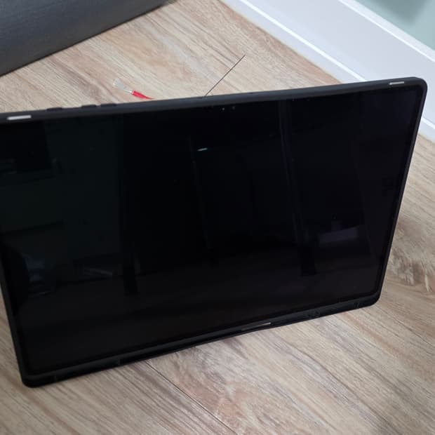 갤럭시탭 s10 울트라 256