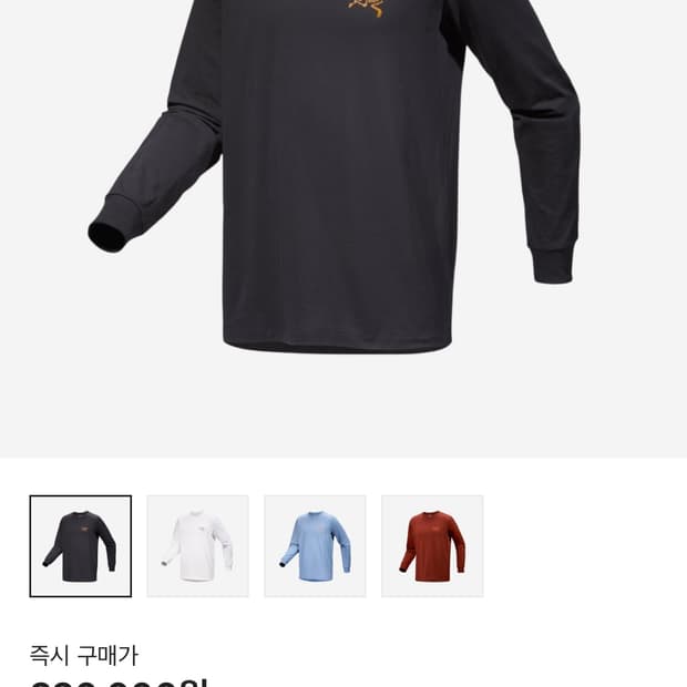아크테릭스 롱슬리브