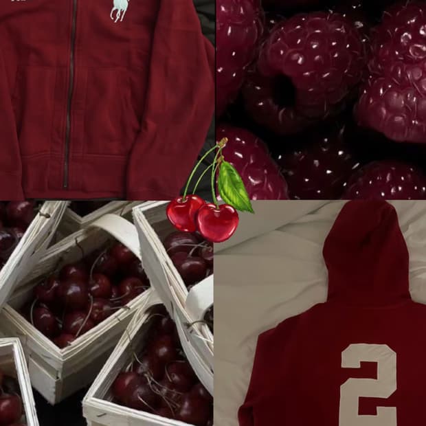 (초희귀)폴로 랄프로렌 빅포니 프랑스 후드집업