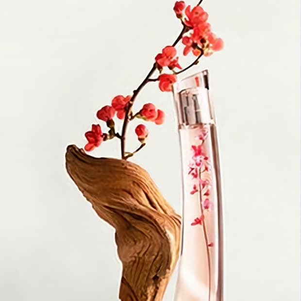 겐조 플라워 이케바나 바이겐조 오드퍼퓸 75ml