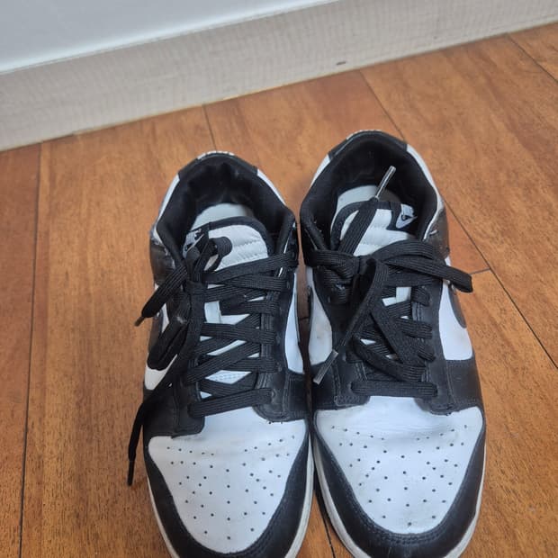 나이키 범고래270