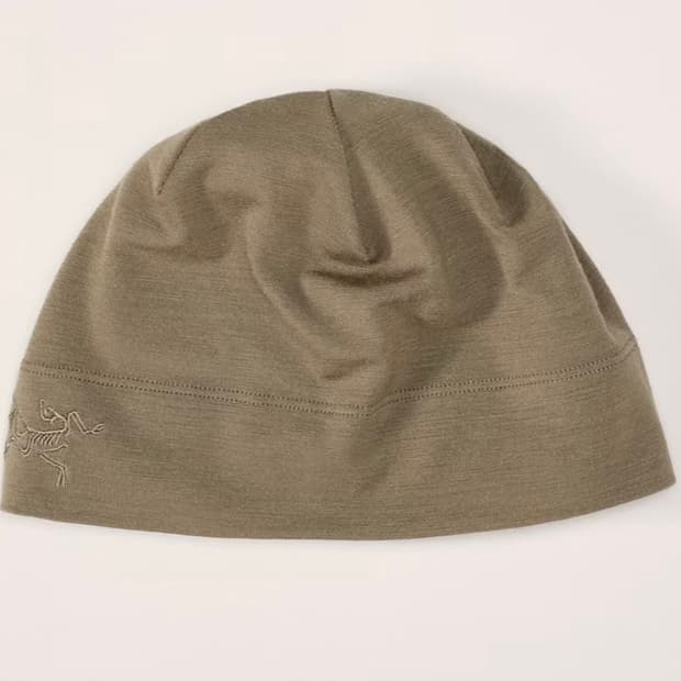 아크테릭스 리프 / 콜드 wx 비니 / 크로코다일