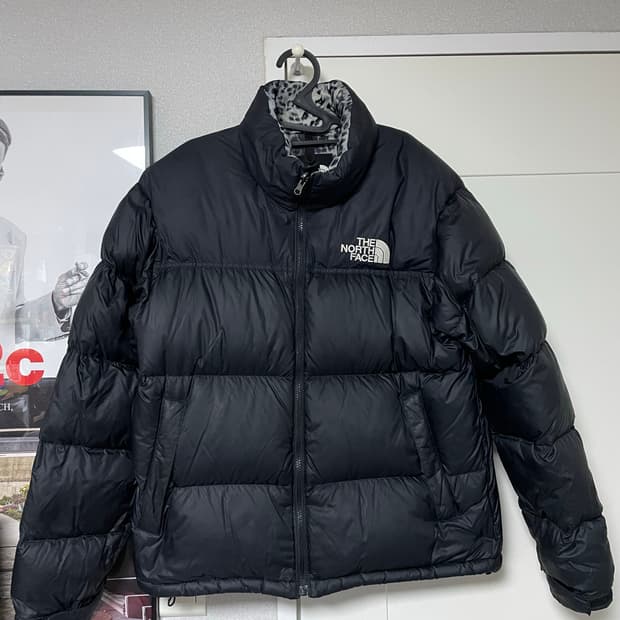 노스페이스x케이스스터디 설표 패딩