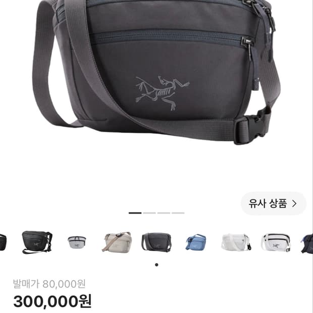 아크테릭스 맨티스 1 웨이스트백