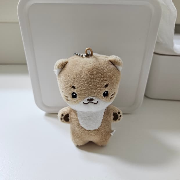 세븐틴 이찬 디노 인형 당찬 키링