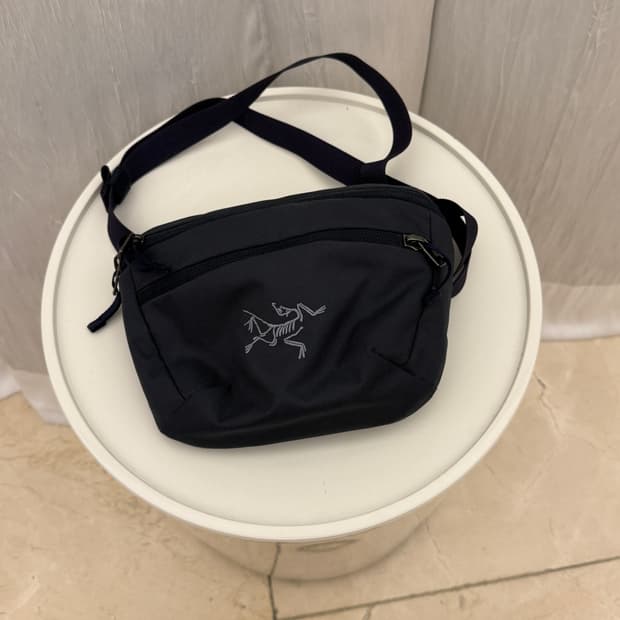 아크테릭스멘티스1