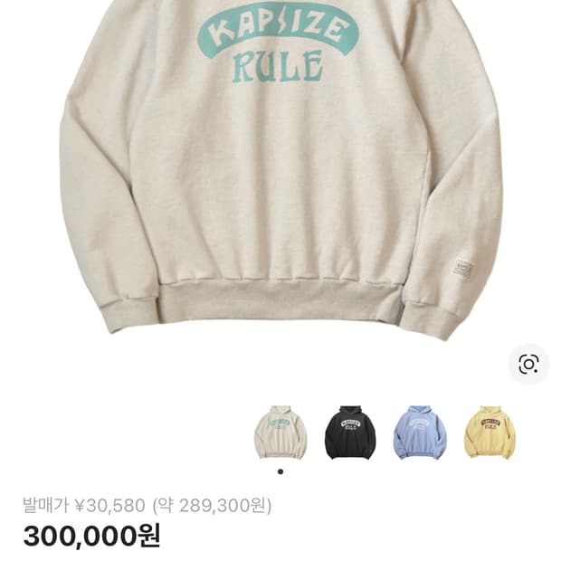 캐피탈 룰 후드티