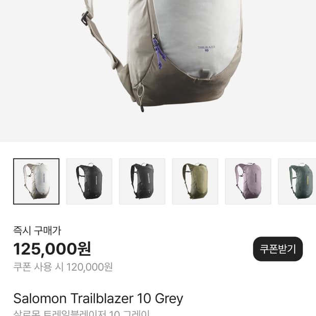 살로몬 트레일블레이저 10 그레이