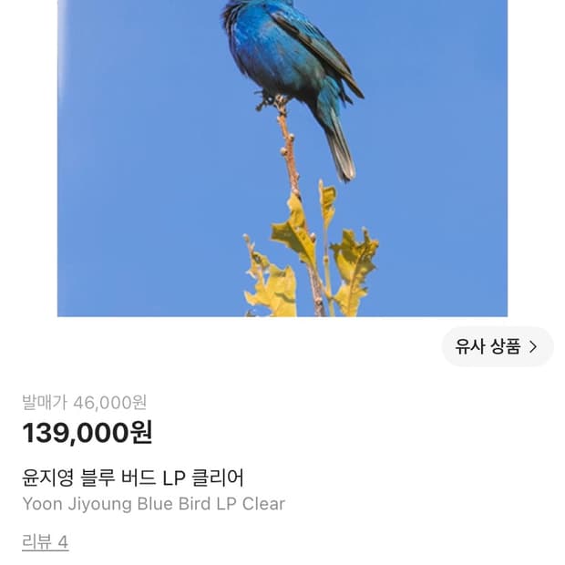 윤지영 blue bird lp 미개봉 새상품