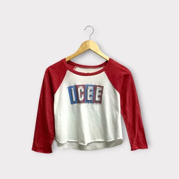 Hollister ICEE 래글런 크롭 티셔츠 S