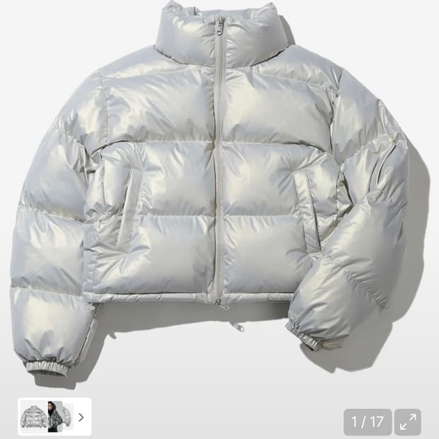 비터셀즈 글로시 크롭 푸퍼 자켓 패딩 실버