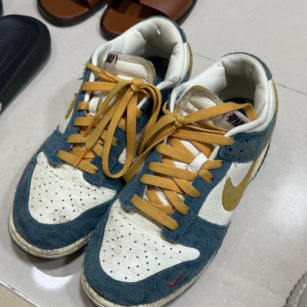 나이키 카시나 덩크 260