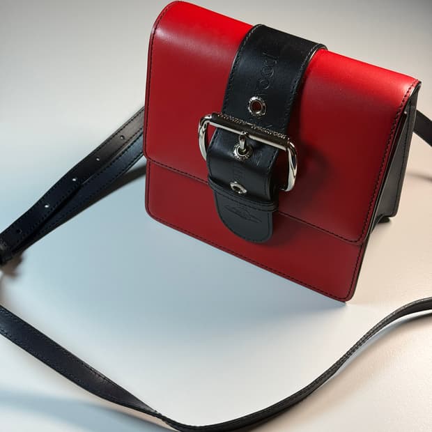 비비안웨스트우드 알렉스 백 레드