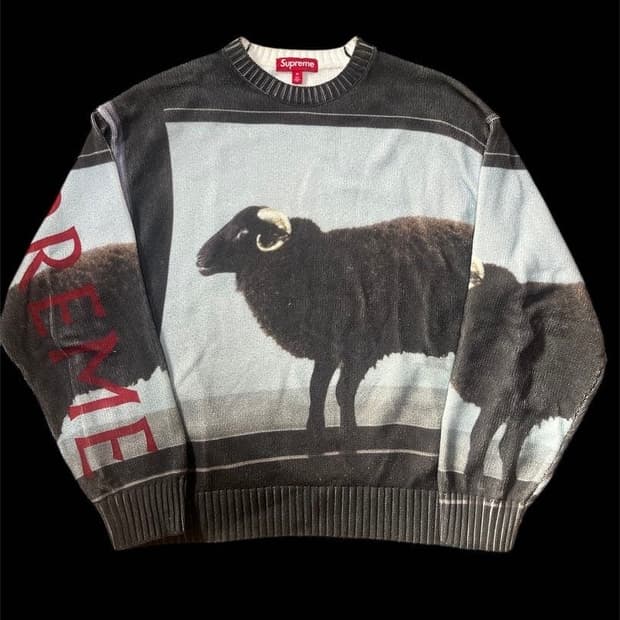 슈프림 데미안허스트 스웨터 L