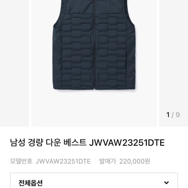 코오롱 스포츠 구스다운 경량 베스트 100