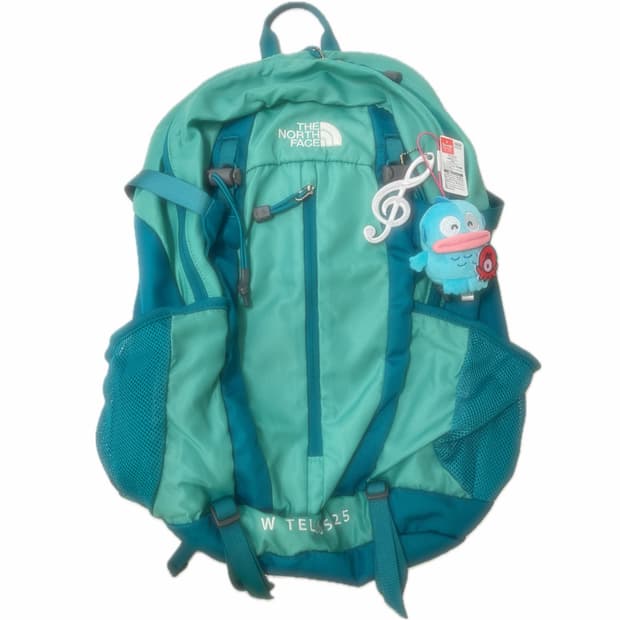한교동 노스페이스 백팩 TELLUS 25 🌀