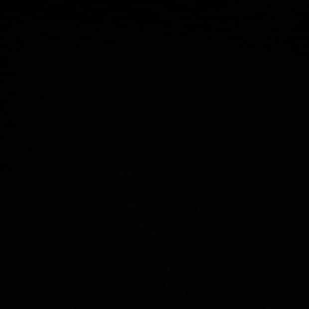 발렌시아가 24ss 인비테이션