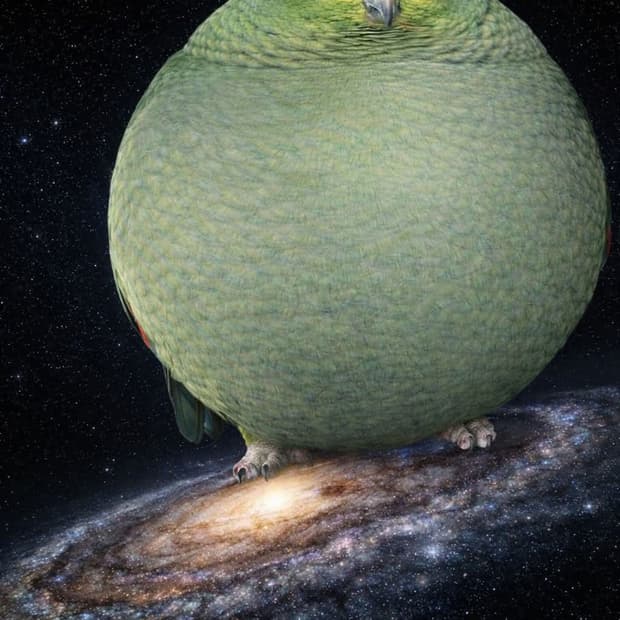 결제창⭐️