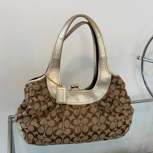 S급✨ Signature Pleated Kisslock Hobo Bag